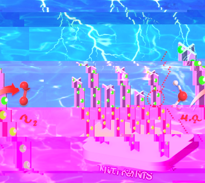 圖1